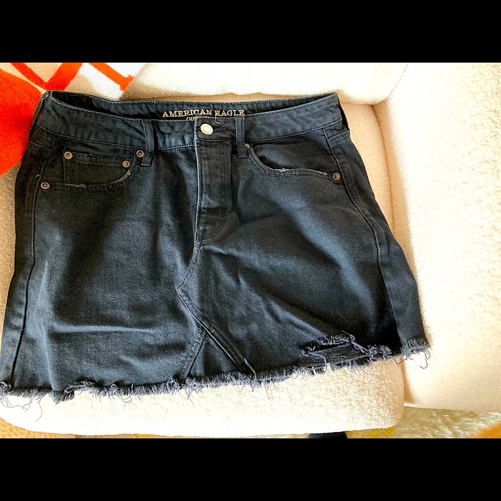 Zara Skirt